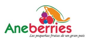 logo-aneberries-retina