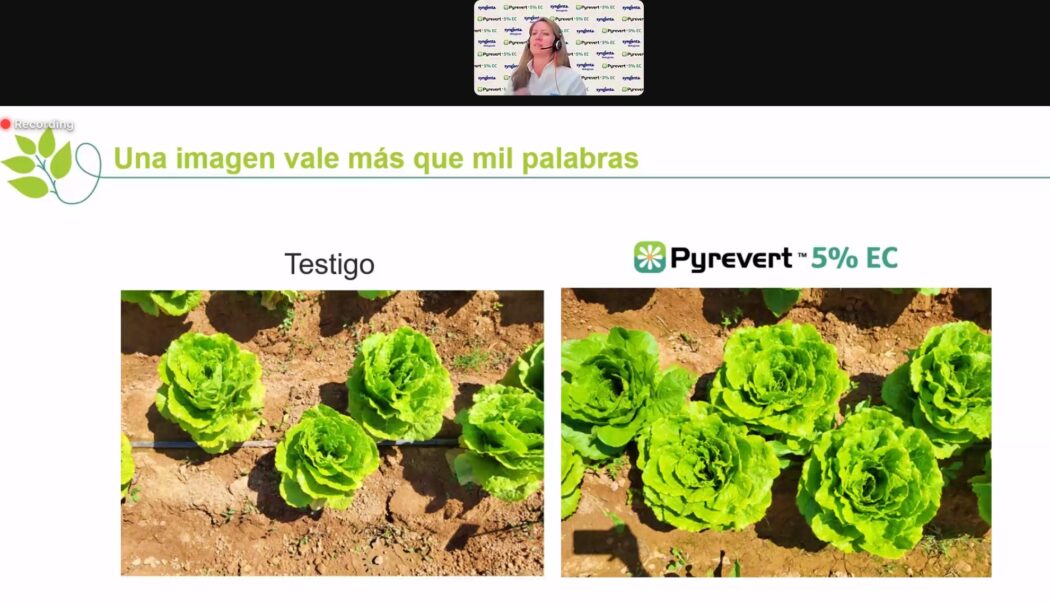 Syngenta Lanza El Bioinsecticida Multiplaga Pyrevert 5 EC EComercio