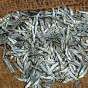 Sardinas. Imagen: FreeImages