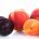 Previsiones de fruta de hueso: 1.501.678 toneladas (+1%)