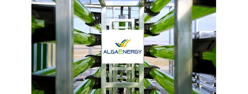 algaenergy