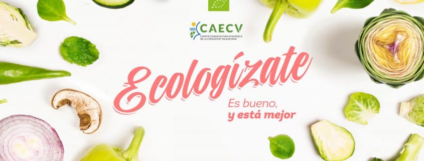 Ecologízate