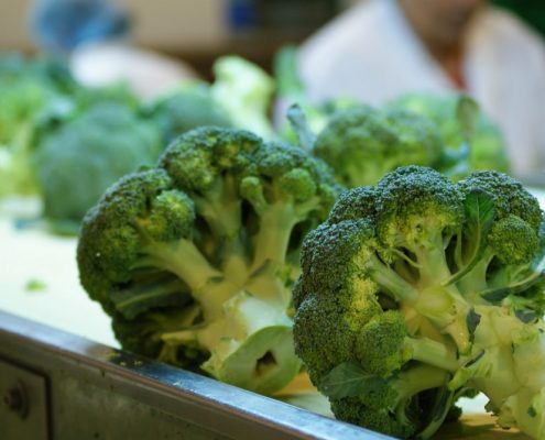 + Broccoli