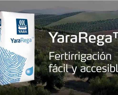 YaraRega