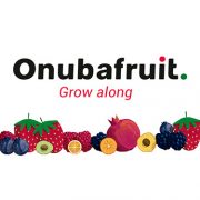 Onubafruit