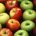 WAPA releases a first update of the European apple crop