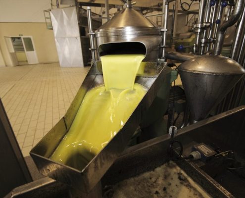 producción de aceite de oliva