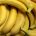 EU market is the main destination for Ecuadorian banana