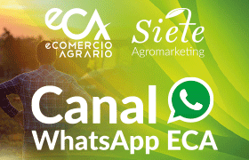 Canal WhatsApp ECA Horizontal