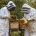 The bad streak continues for European honey producers in 2022