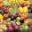 España aumenta sus importaciones de frutas y hortalizas un 11%