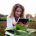 La CE reconoce ‘Andalucía Agrotech’ como EDIH