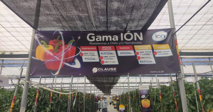 Gama ION