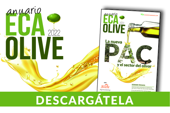 ECA OLIVE 2022