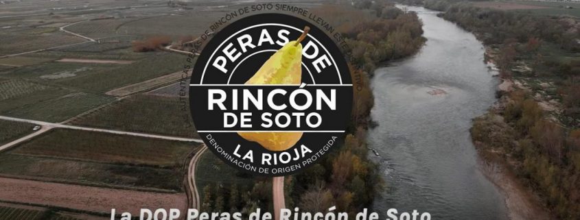 Rincón de Soto