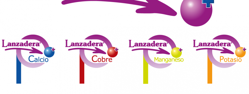 Lanzadera