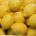 First estimate of lemon harvest un Spain next season 2022/2023