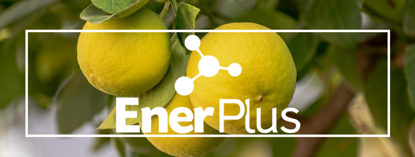 EnerPlus®