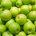 Afrucat: Estabilidad en la producción europea de manzanas y peras