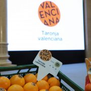 Naranja Valenciana