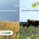 agricultura y ganadería ecológicas