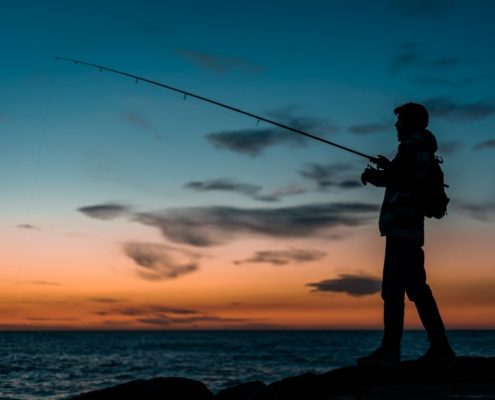 Día Mundial de la Pesca