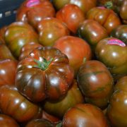 exportación de frutas y hortalizas