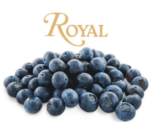 arándano Royal Blu Aroma®