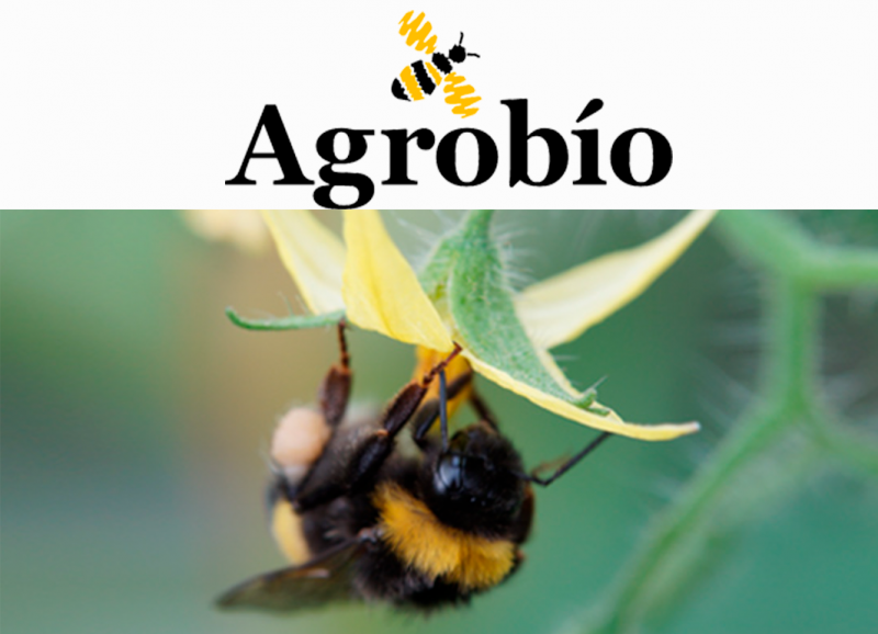 Agrobio – Control biológico de plagas y polinización natural