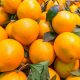 naranjasyfrutas