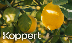 Koppert Banner Abril 2023