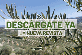 REVISTA ECA OLIVE 2023