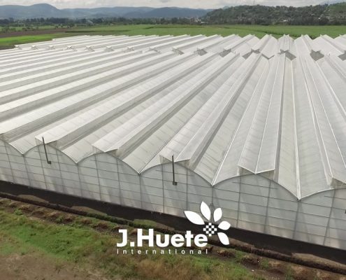 J. Huete Greenhouses