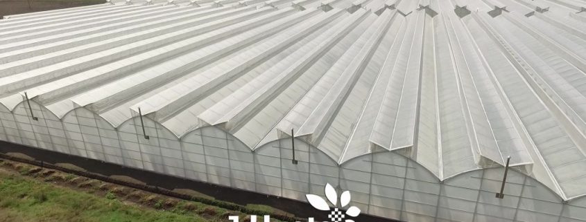 J. Huete Greenhouses