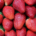 Detectan una nueva partida de fresas de Marruecos con Hepatitis A