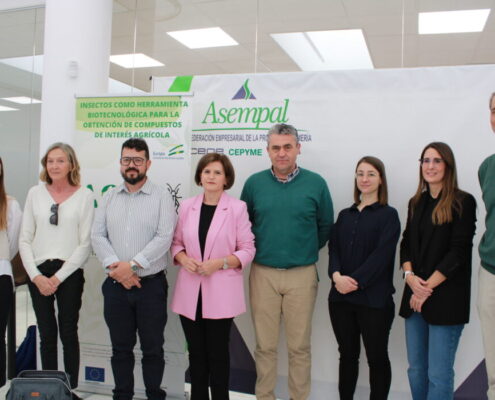 Expertos del Grupo Operativo 'Agroentool' se reunieron ayer en la sede de Asempal.