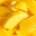 La National Mango Board Da Inicio a Su Temporada Alta con la Celebración del “Cinco de Mango”