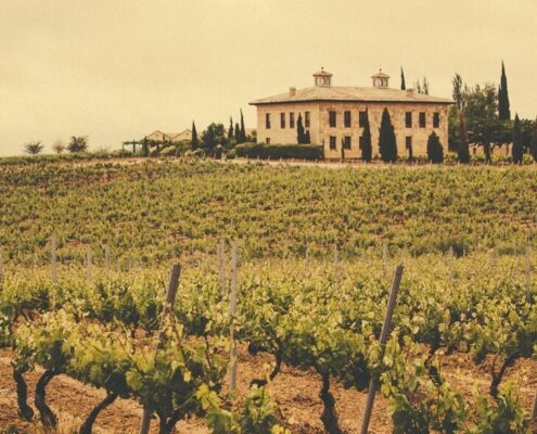 El sector vitivinícola impulsa el desarrollo económico y demográfico en La Rioja.