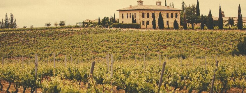 El sector vitivinícola impulsa el desarrollo económico y demográfico en La Rioja.