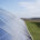La agrivoltaica: la unión de la producción agrícola y fotovoltaica