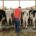 La Alianza UPA-COAG denuncia la carga burocrática que sufren los ganaderos