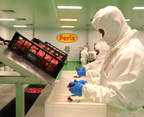 Peris colabora con AITEX para contribuir a la economía circular de subproductos vegetales.