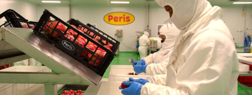 Peris colabora con AITEX para contribuir a la economía circular de subproductos vegetales.