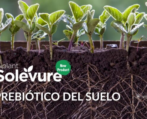 Asfertglobal presenta su nuevo prebiótico para suelos agrícolas, Kiplant Solevure.