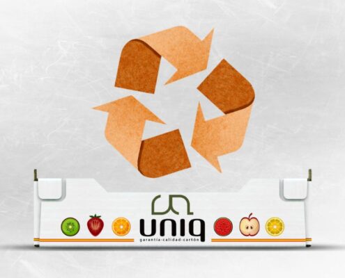 UNIQ, líder en sostenibilidad y calidad en envases de cartón ondulado.