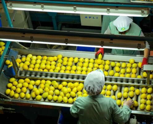 sector del limón