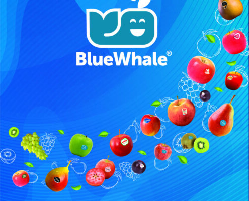 Blue Whale®