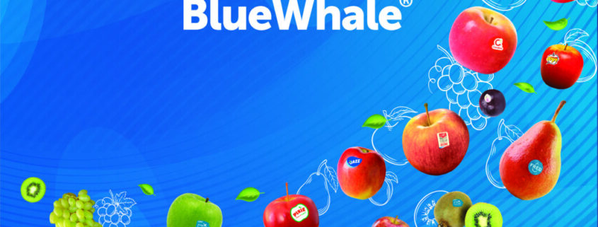 Blue Whale®