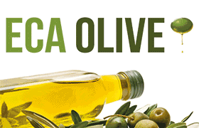 Eca Olive 2024