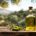 Nuevas herramientas para agilizar la clasificación de los aceites vírgenes de oliva